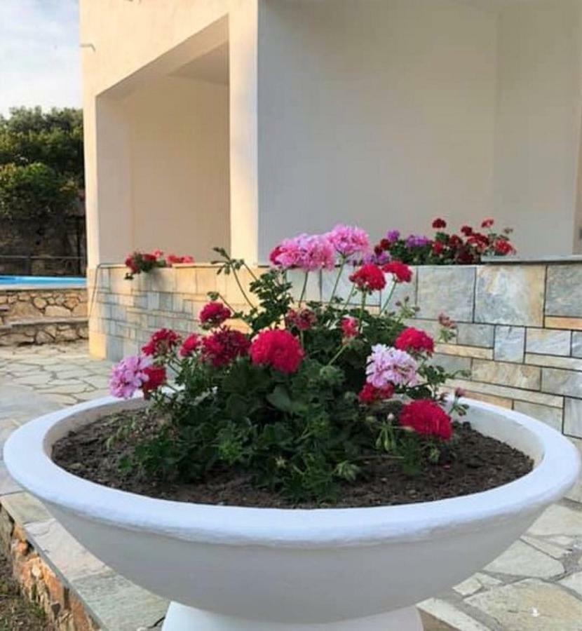 Villa Spartias Skiathos Town Bagian luar foto
